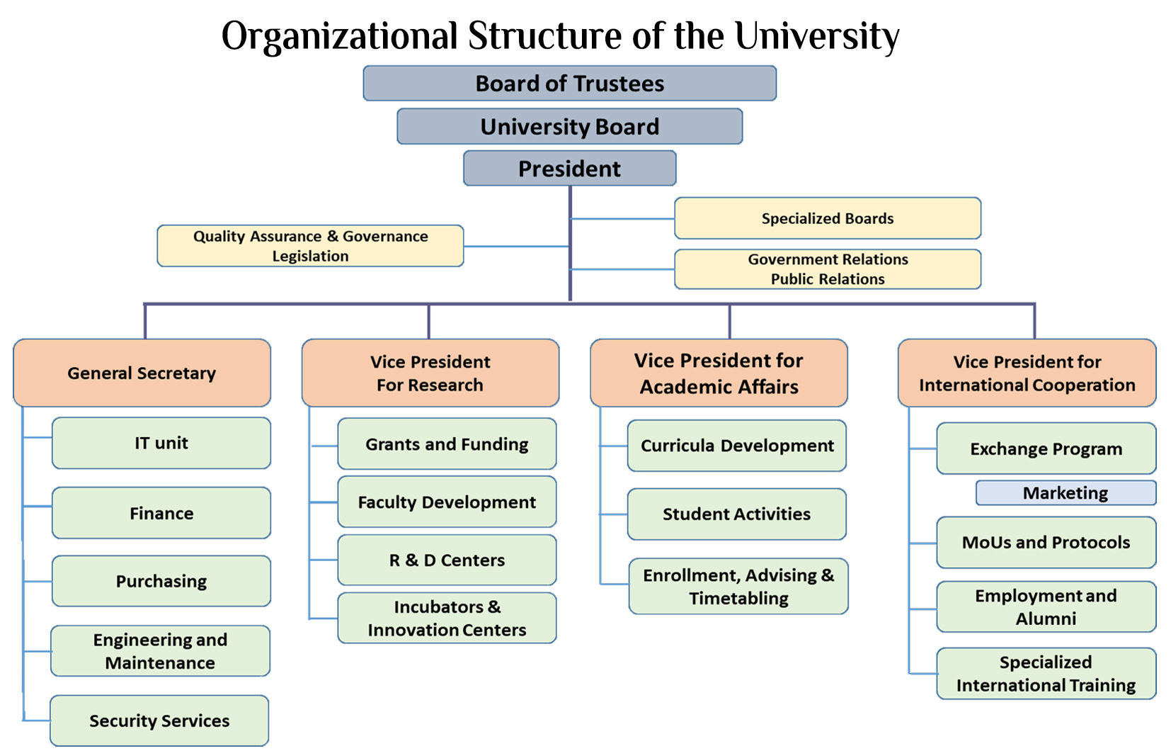 NMU Organizational Structure