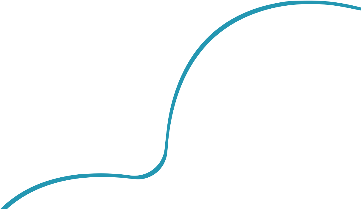 nmu shape