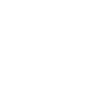 nmu shape